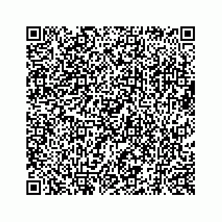 vCard 73519398863