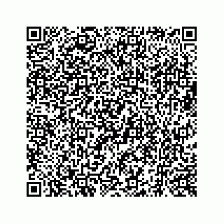 vCard 73519398869