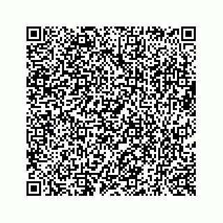 vCard 73519398871