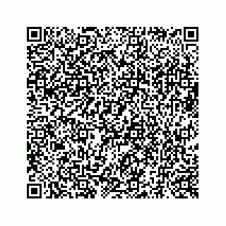 vCard 73519398878