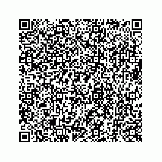 vCard 73519398879
