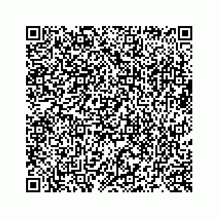 vCard 73519398881