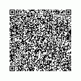 vCard 73519398883
