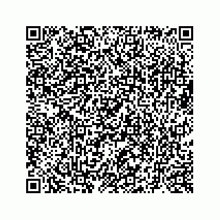 vCard 73519398884