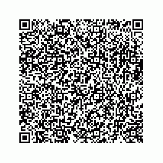 vCard 73519398894