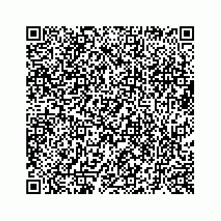 vCard 73519430085