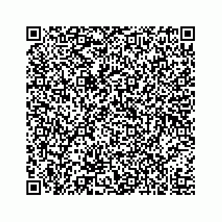 vCard 73519430099