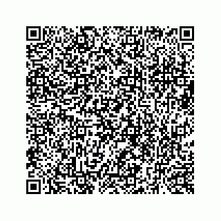 vCard 73519430133