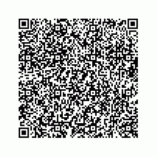 vCard 73519430139
