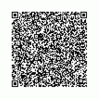 vCard 73519430171