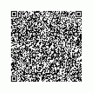 vCard 73519430271