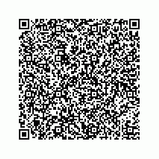 vCard 73519430278