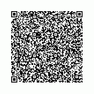 vCard 73519430285