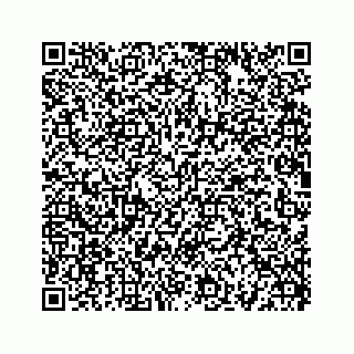 vCard 73519430291