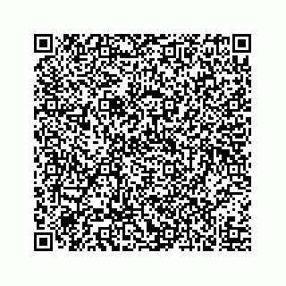 vCard 73519430299