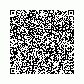 vCard 73519430338