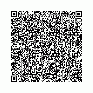vCard 73519430381