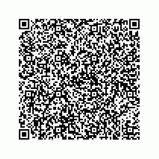 vCard 73519430382