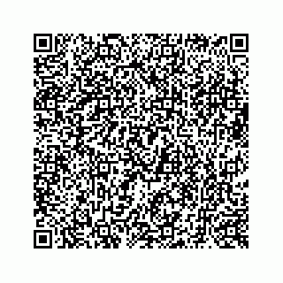 vCard 73519520001