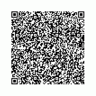 vCard 73519520049