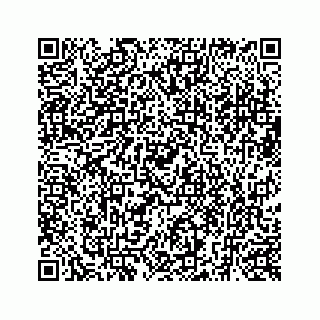 vCard 73519520335