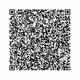 vCard 73519520384