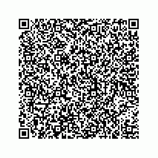 vCard 73519520386