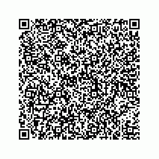 vCard 73519520387