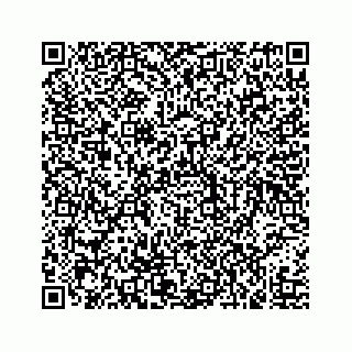 vCard 73519520389