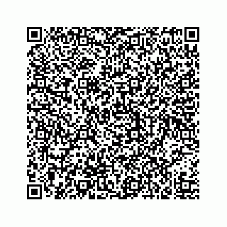 vCard 73519520395