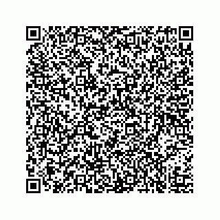 vCard 73519554004