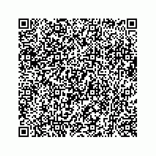 vCard 73519554029