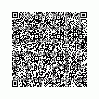 vCard 73519554113