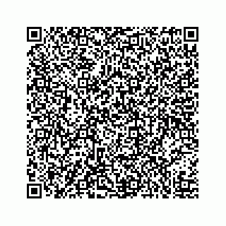 vCard 73519554131