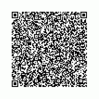 vCard 73519554132