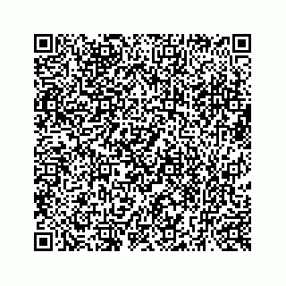 vCard 73519554139