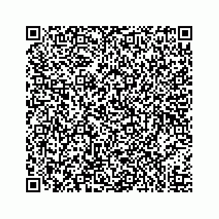 vCard 73519554145