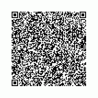 vCard 73519554163