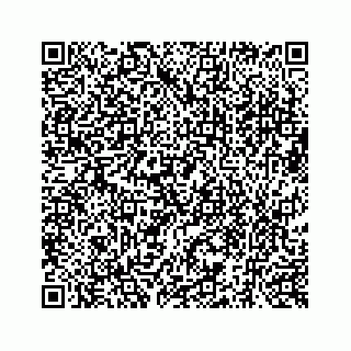 vCard 73519554177
