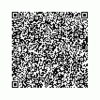 vCard 73519554208