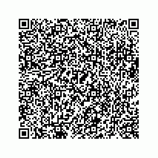 vCard 73519554381
