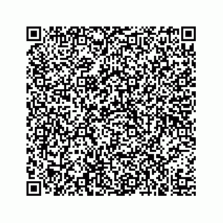 vCard 73519554384