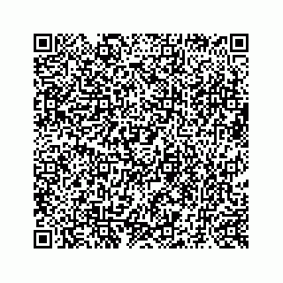 vCard 73519580001