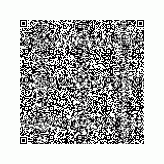 vCard 73519580013