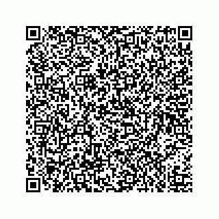 vCard 73519580027