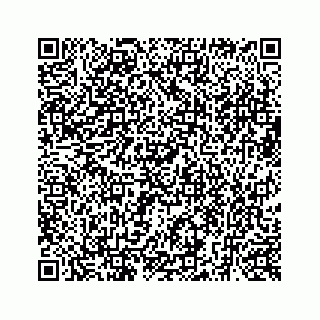 vCard 73519580031