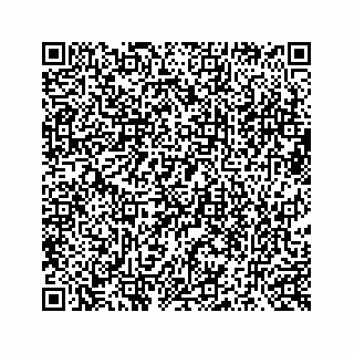 vCard 73519580053