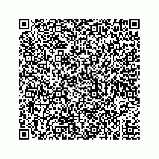 vCard 73519580081