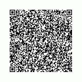 vCard 73519580082