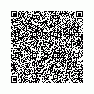 vCard 73519580083